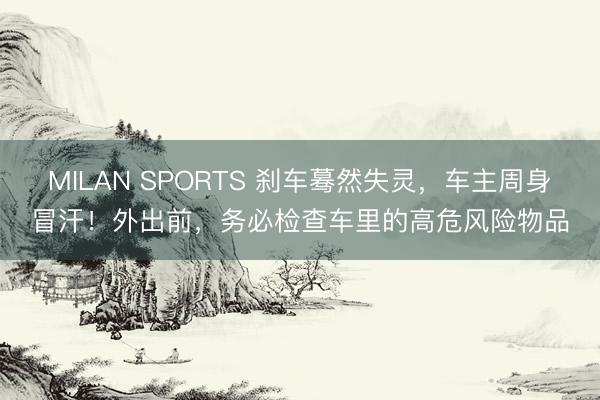 MILAN SPORTS 刹车蓦然失灵，车主周身冒汗！外出前，务必检查车里的高危风险物品